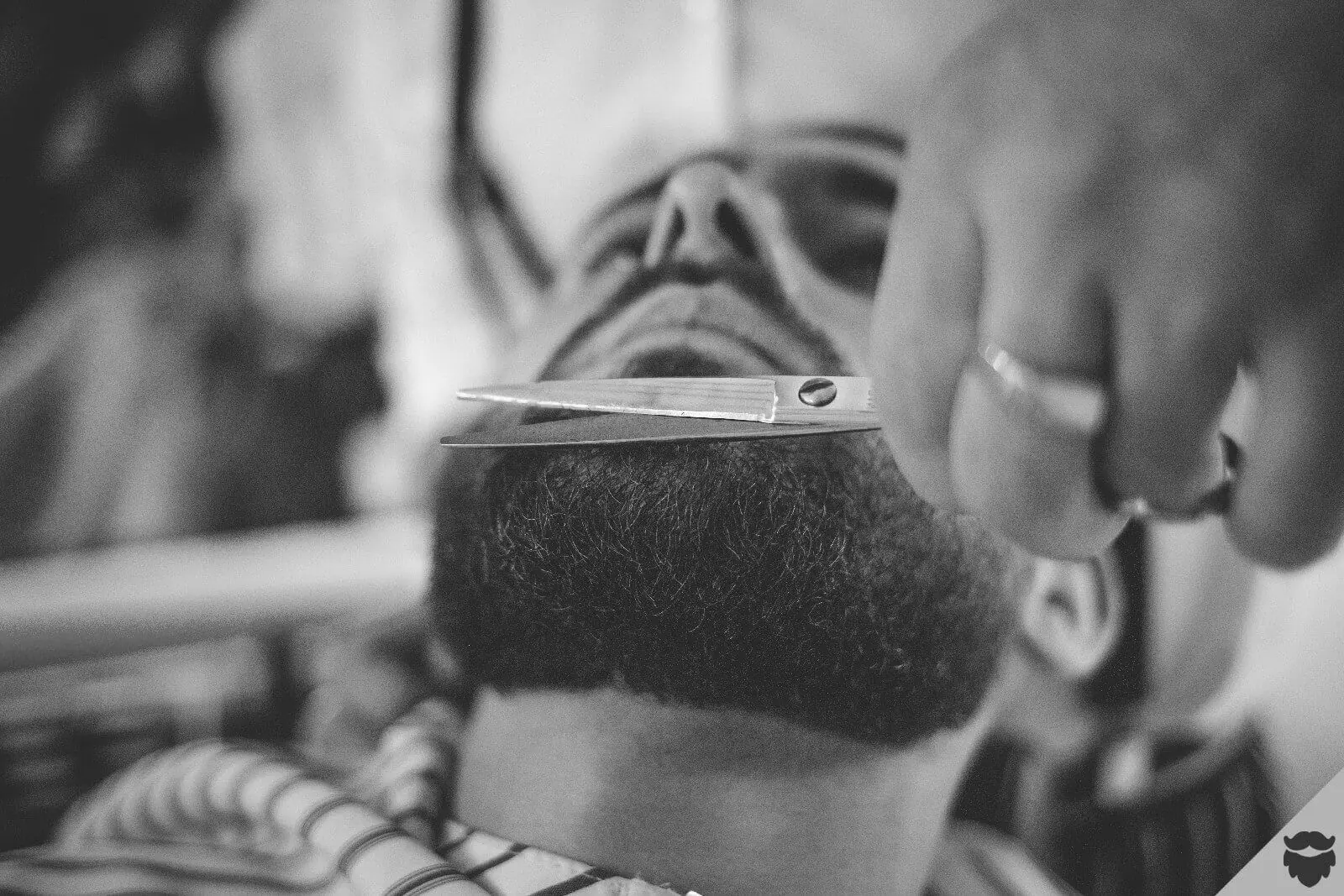 Coupe Ciseaux & Barbe